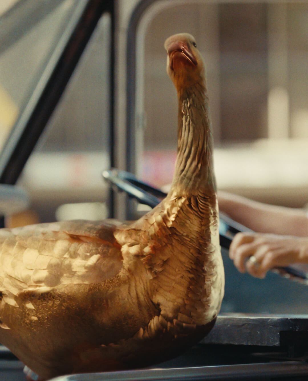 Accessing your super